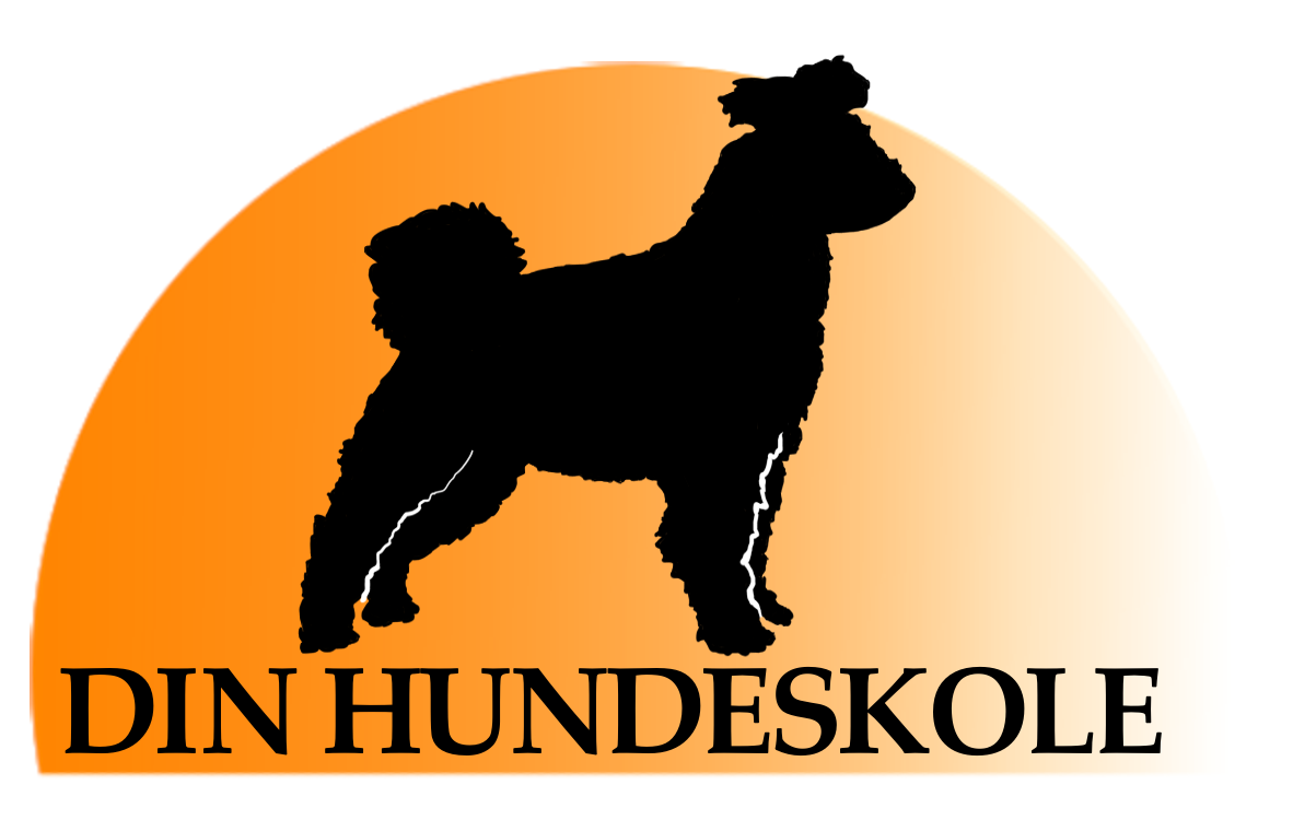 Din Hundeskole I Norge