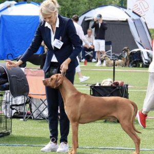 5B19D466-AE72-4F0D-B181-1E0A054551FD_1_201_a Frida Yggeseth