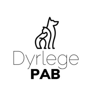 EC1DF6A3-0AE3-4A57-878A-D07DF8A6ABEF AniCure Skien Dyreklinikk