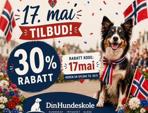17.mai-fest med gode tilbud!